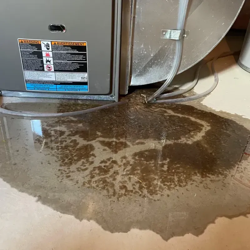 Appliance Leak Cleanup in Carroll County, MS